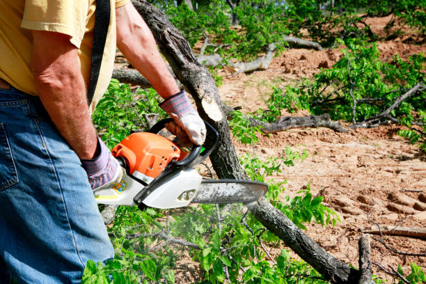 Lawn Irrigation Installation and Maintenance in Lochearn, MD